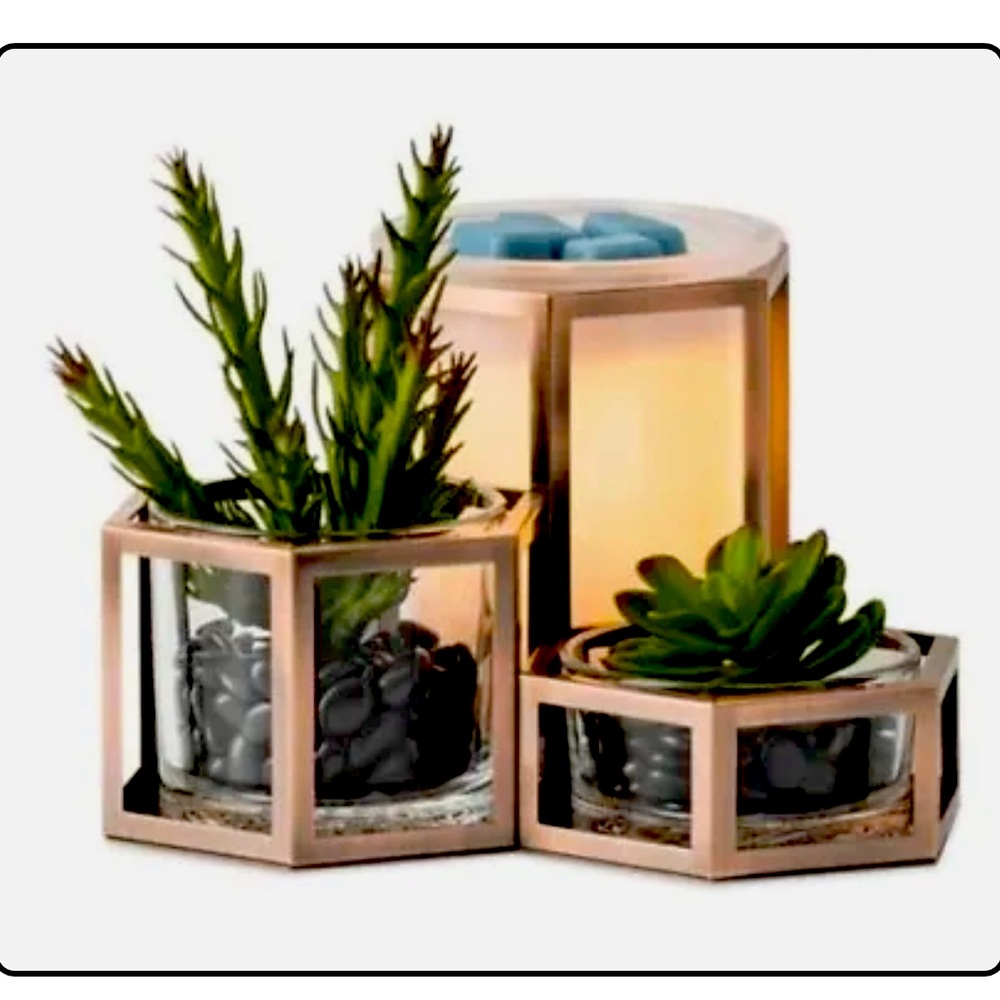 BNIB- never opened Scentsy Warmer- Wild Dessert